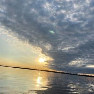 Meet your Posher, Kirby